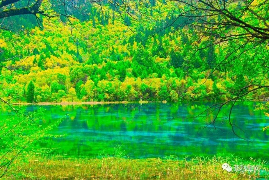 探秘孙卫卫为什么要亲萧老师?,发现问题答案的新去处